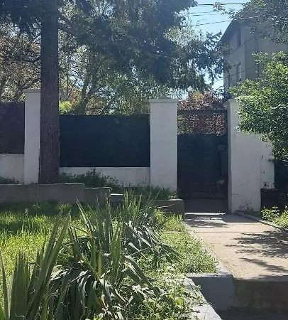 Magenta Garden * ベオグラード