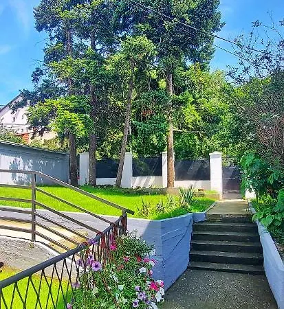 Magenta Garden