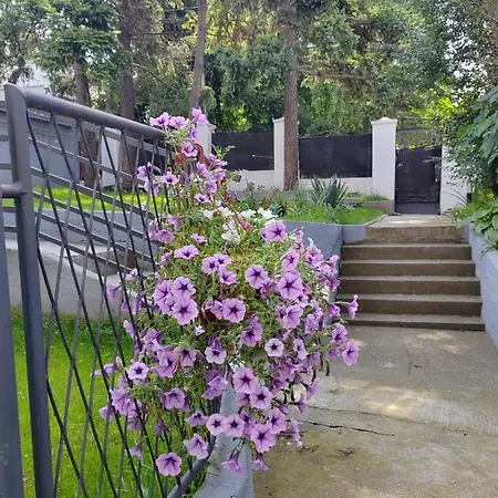 Apartment Magenta Garden