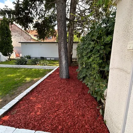 Magenta Garden *